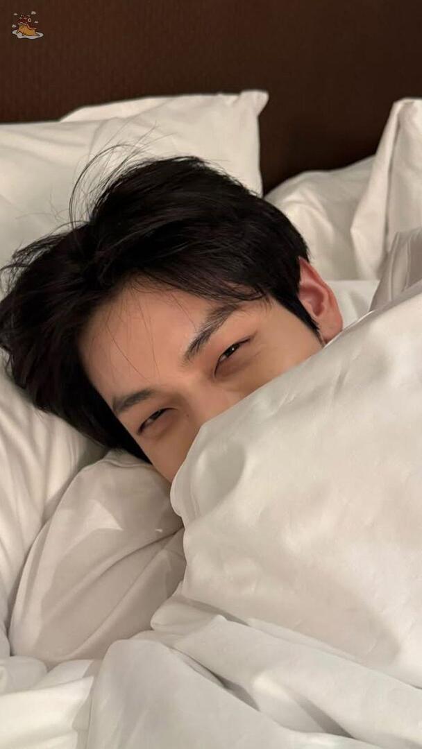 SOC-IE 💛 ˚☽˚.⋆ tweet media