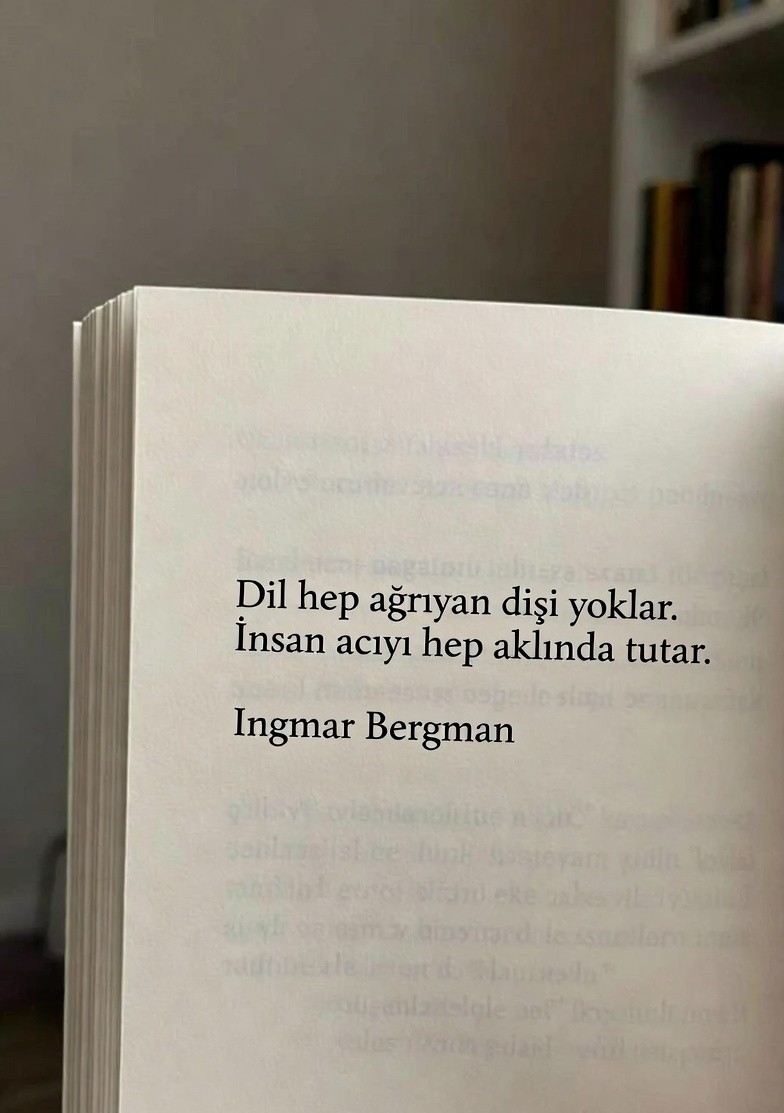 söz gülü tweet media