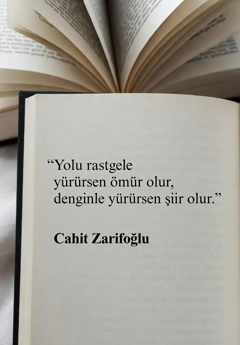 sozgulu's tweet photo. https://t.co/org82BzbK1