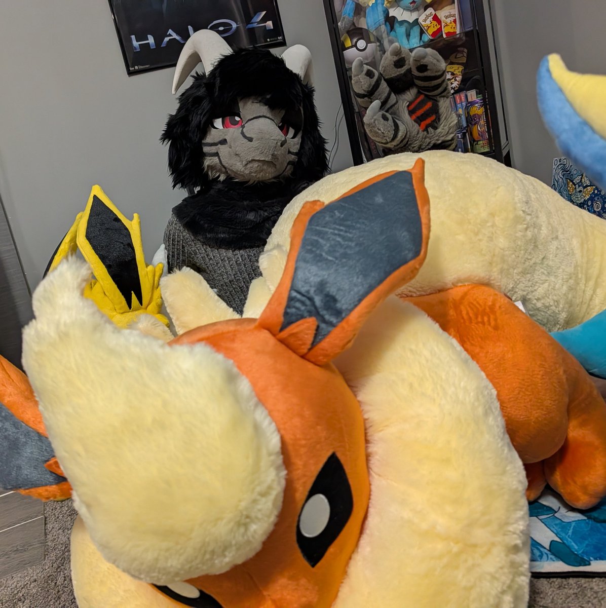 KobotFlosk's tweet photo. Figured I would do a little haphazard fursuit Friday with my new plushies.

They are still a bit stiff from shipment though x.X

I'll post a lot more photos tomorrow when going to MCFC with a friend.
#FursuitFriday #furmony https://t.co/w1QPIG5bHo