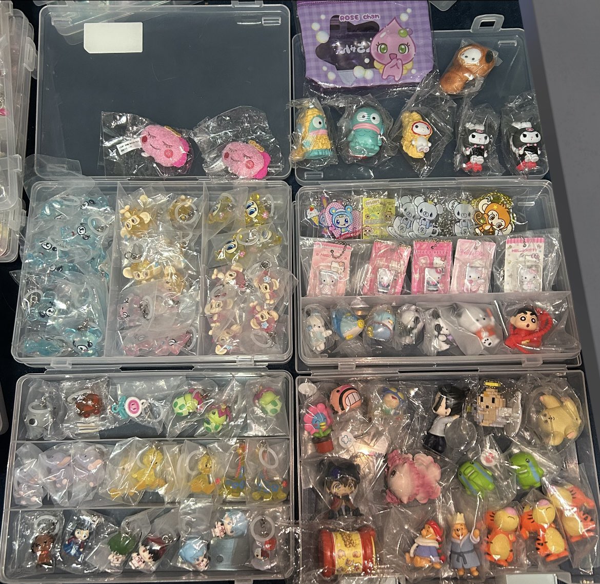 しなもん@初回ツイフィ必読 tweet media