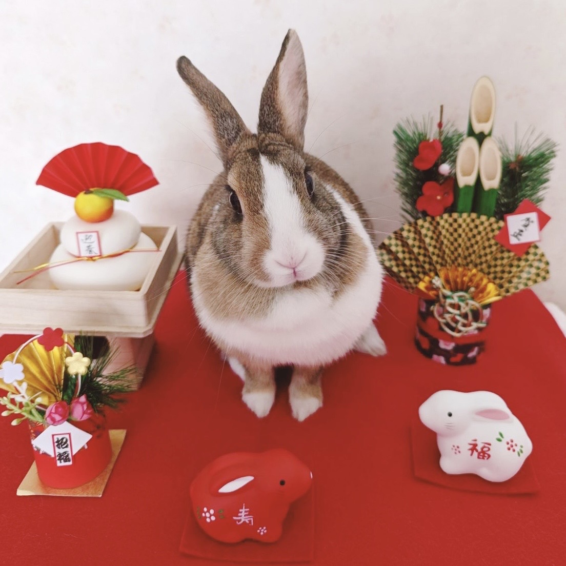 ←これが               こう→