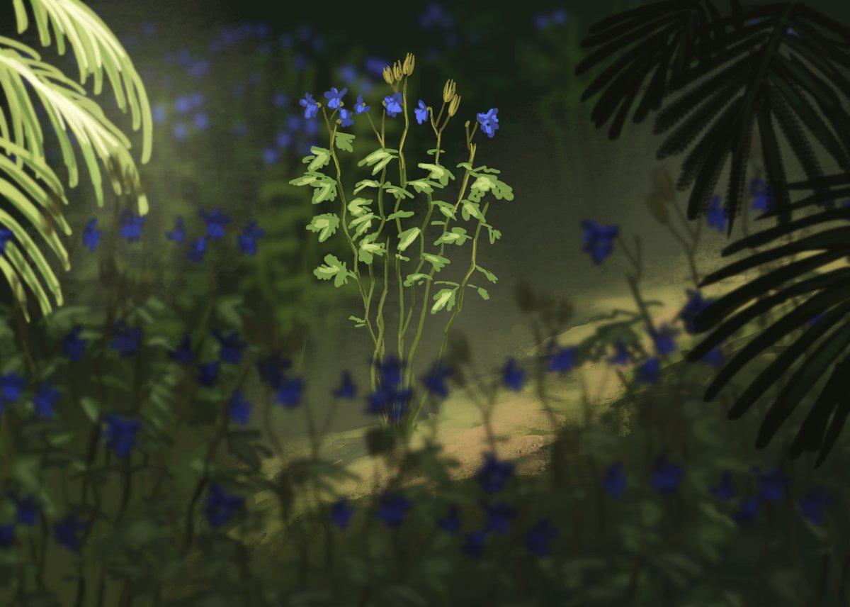 Because of Valentine's Day we had today a Flower Flocking #paleostream, covering different kinds of extinct angiosperms!
Florissantia, Lovellea, Leguminocarpum and Sagaria!