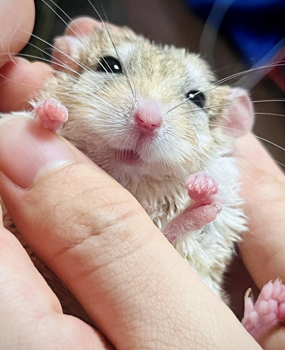 あかちゃんみあふれているね〜