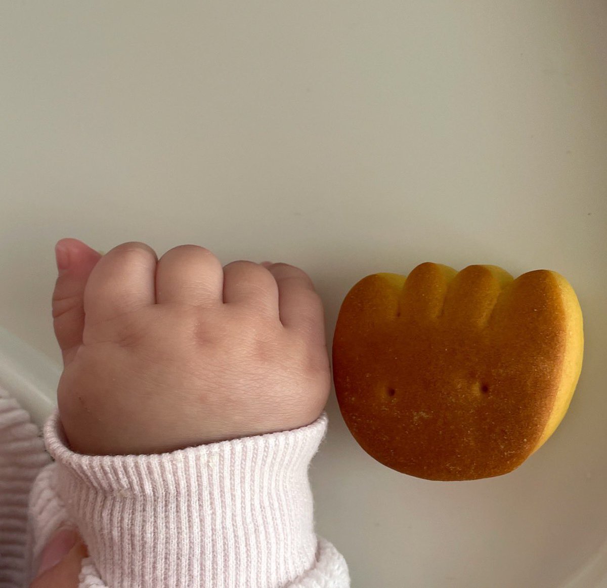 ともはち / tomohachi (@tomo8now) / Posts / X