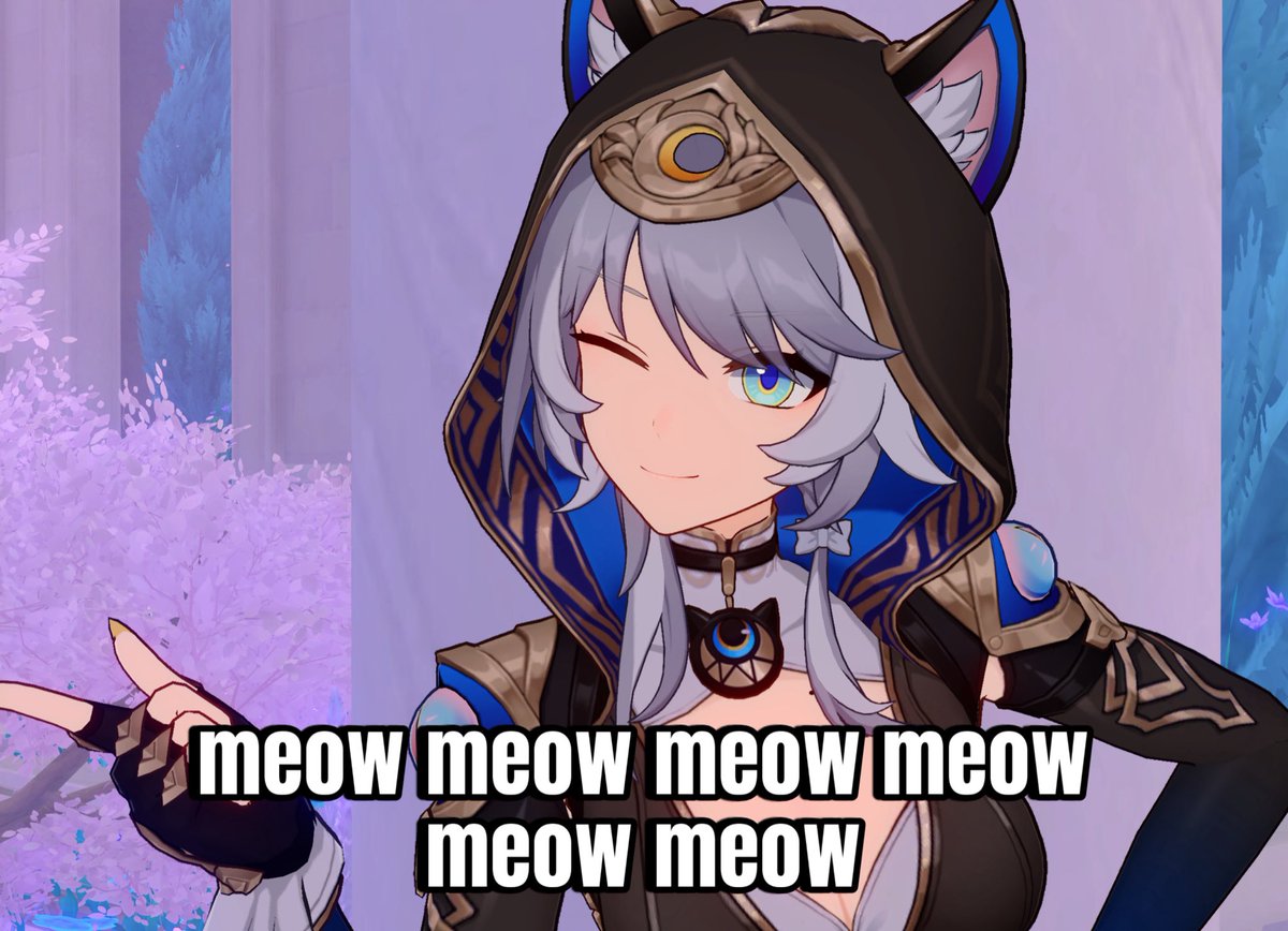 cipherboobs's tweet photo. meow meow meow https://t.co/b3aHAqOKRE