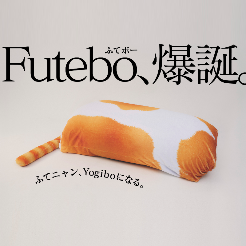 🐈💨💨💨💨💨💨💨​ ふてニャン、Yogiboになる。​ Futebo、爆誕