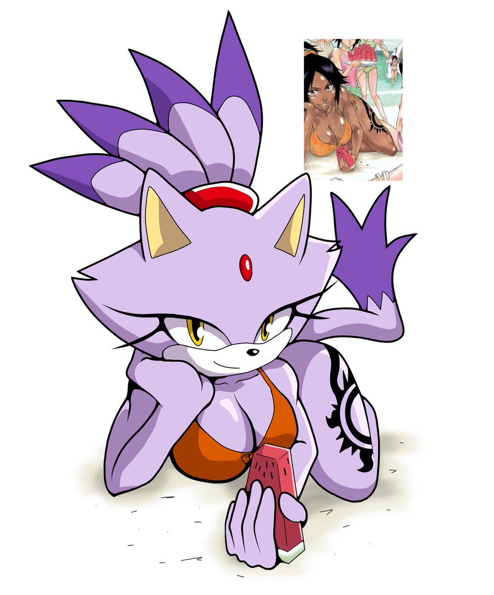 Blaze Yoruichi (Swimsuit)

#SonicTheHedgehog 
#Ble