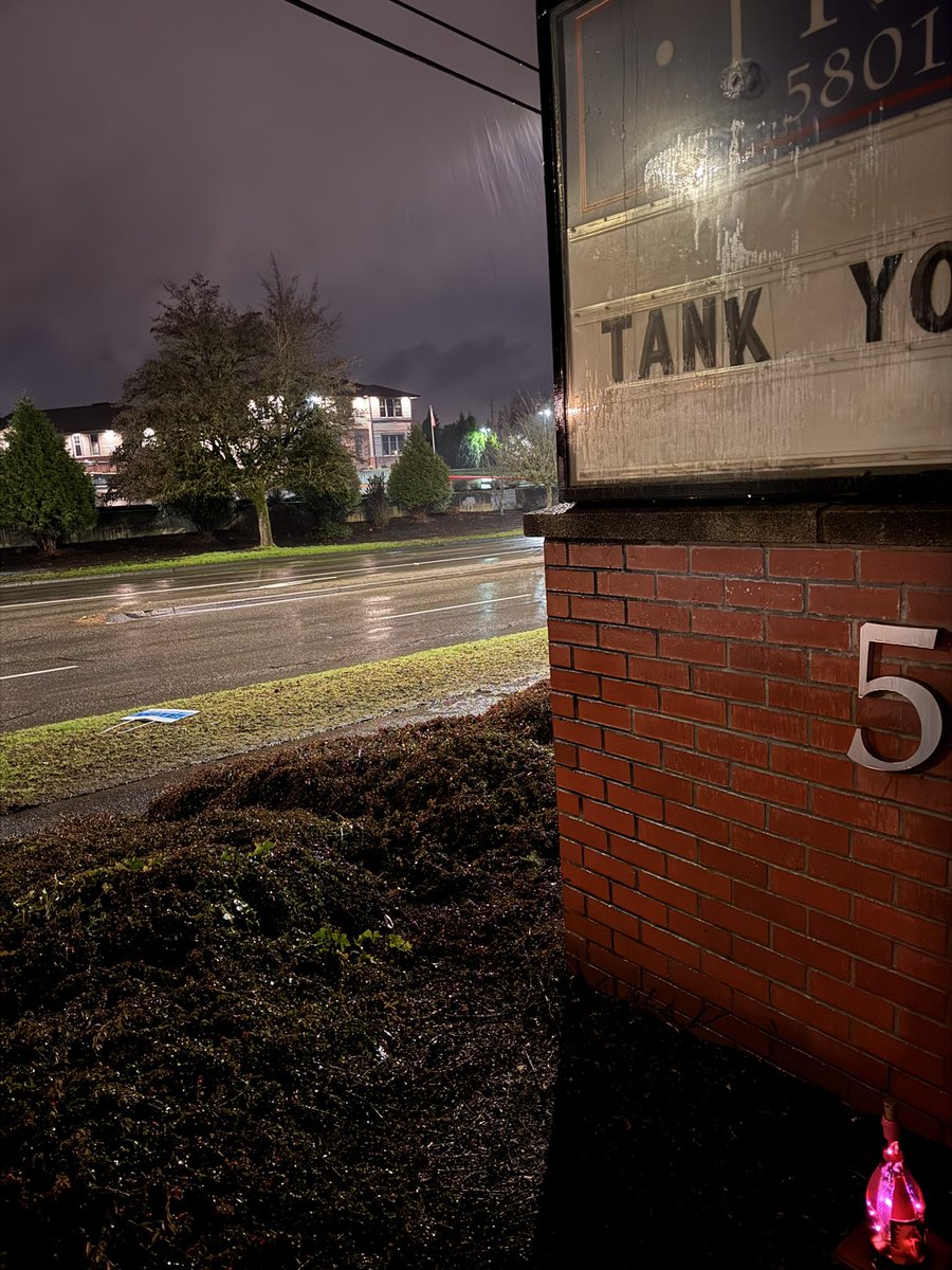 Silly Irish Monkeys tweet media