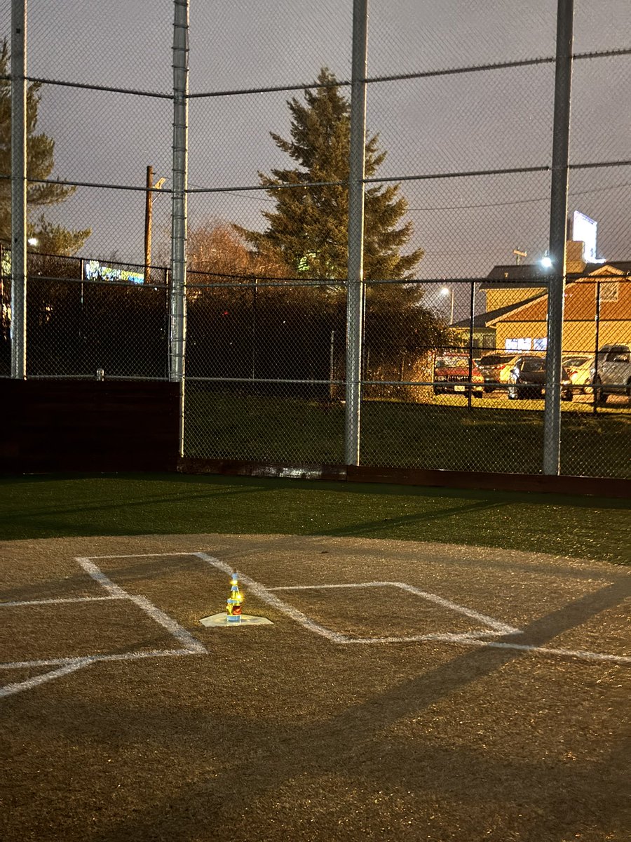 Silly Irish Monkeys tweet media