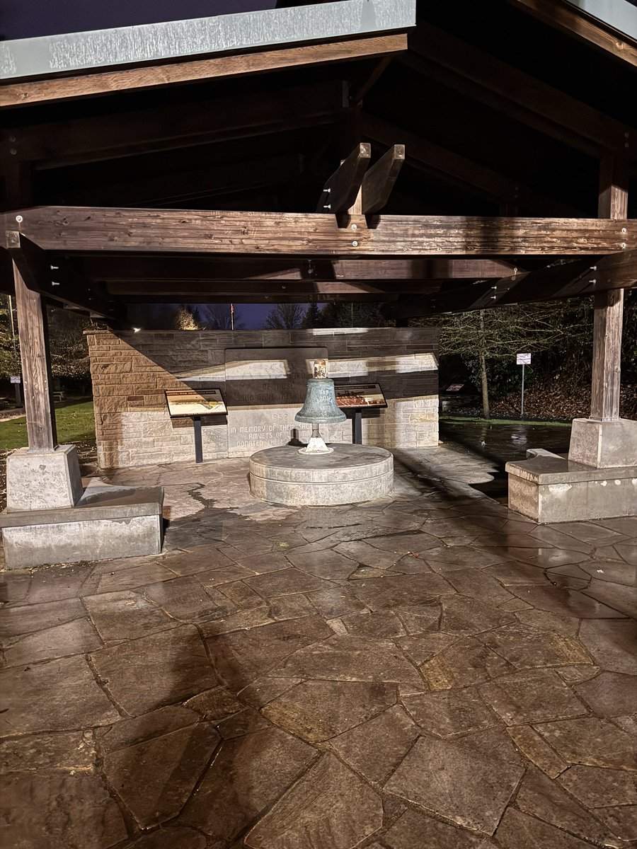 Silly Irish Monkeys tweet media