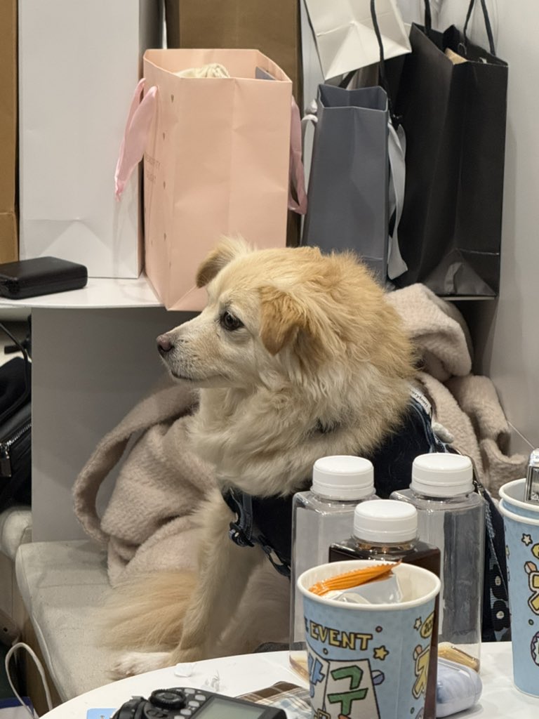 공기에 진심인 여성분과 많이 의젓한 블루