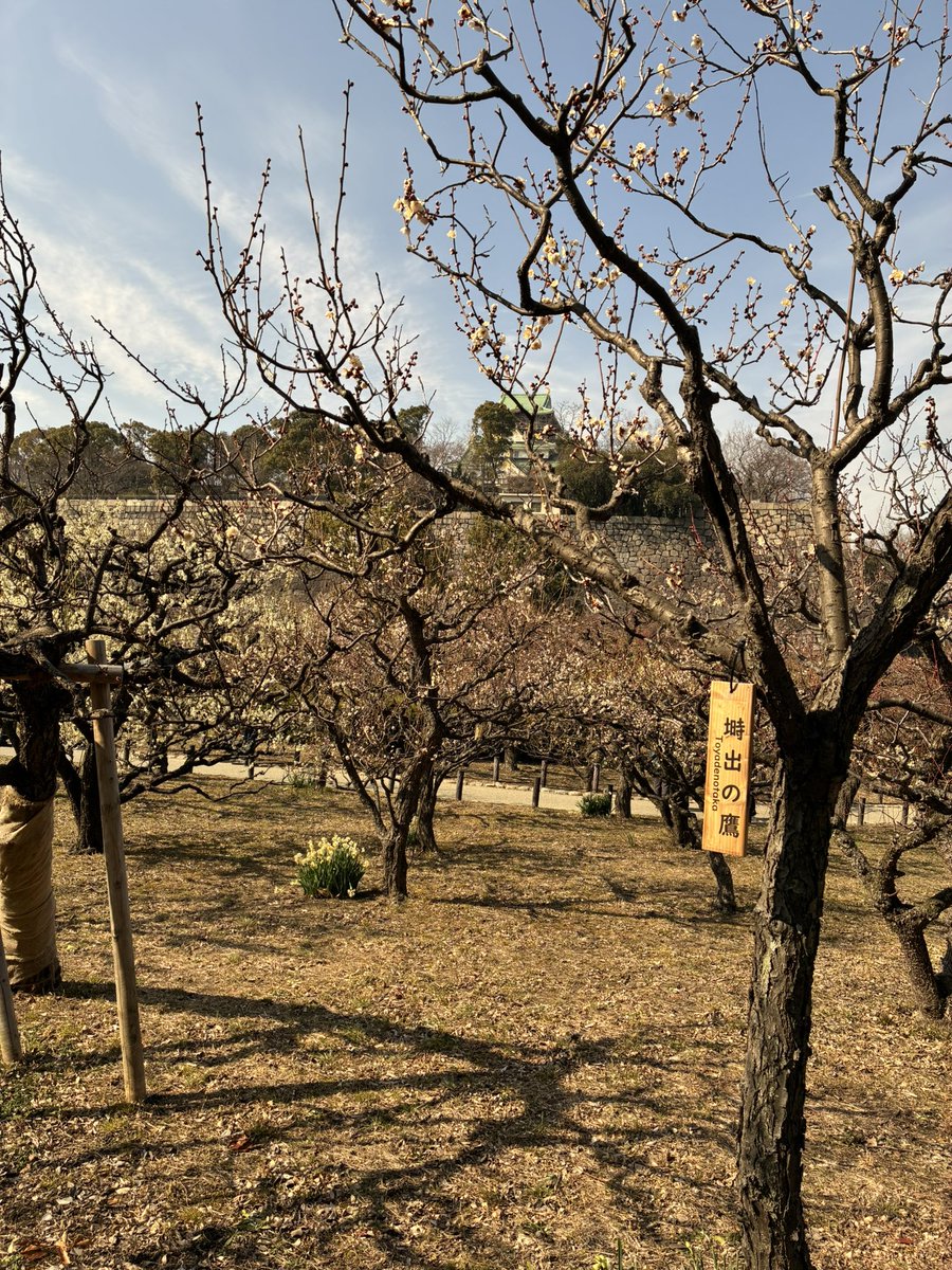 hiro C (@mikio696) / Posts / X