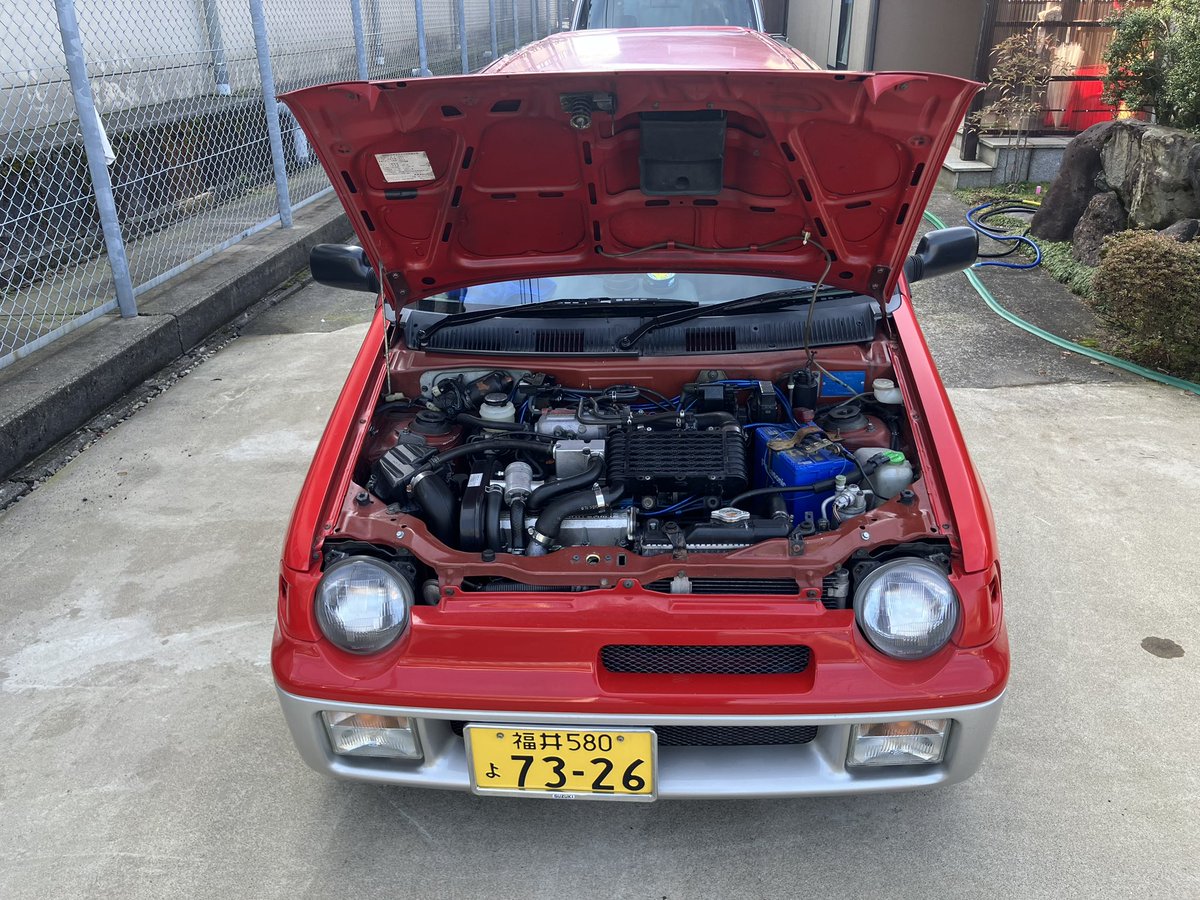 ミケロッティ tweet media