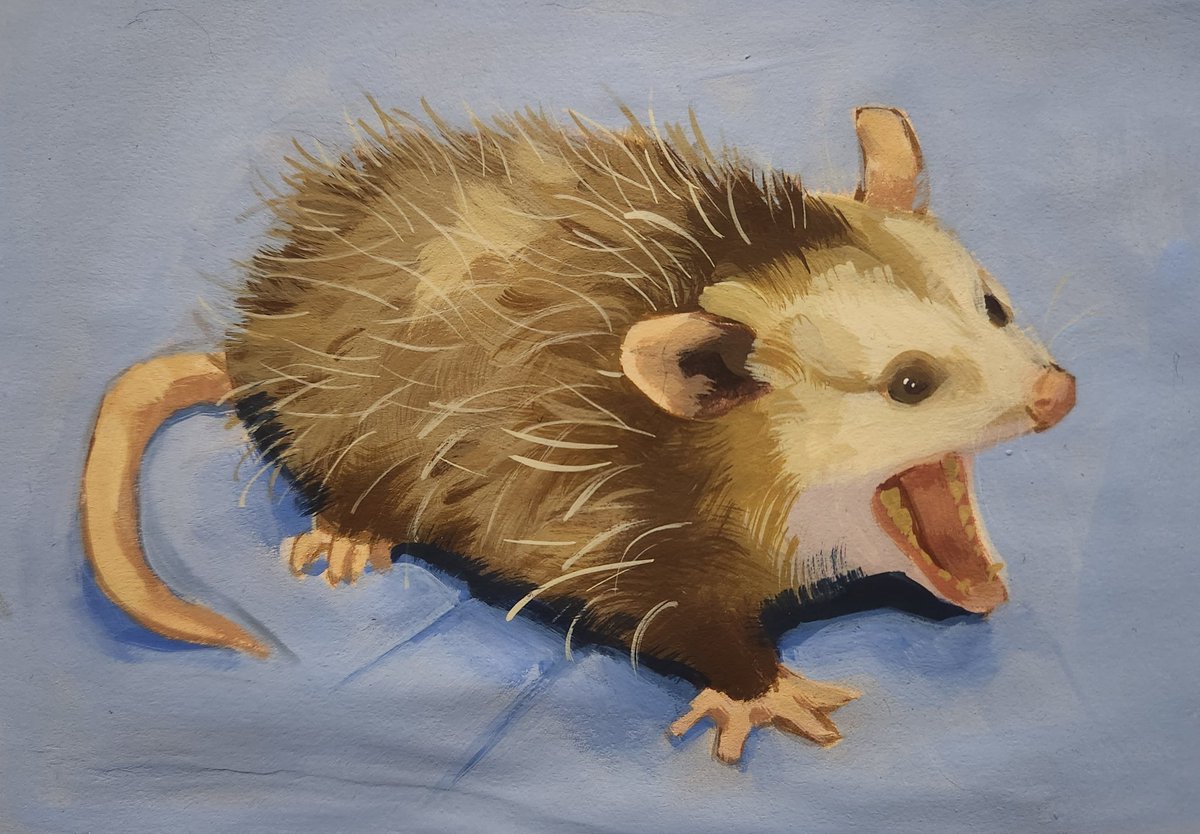 He screamin