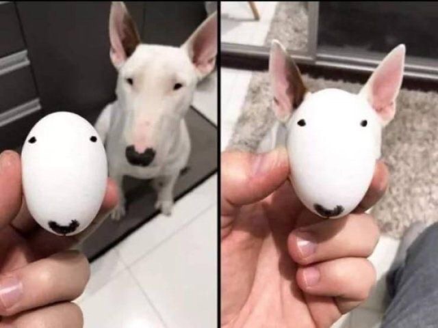 This acc will make u happy tweet media