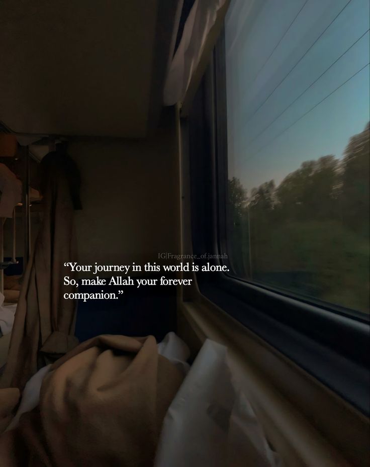 U m e . . tweet media