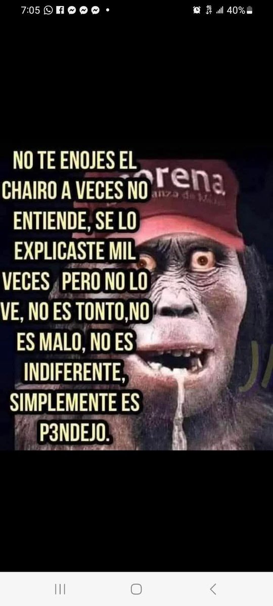 Lorena Jiménez tweet media
