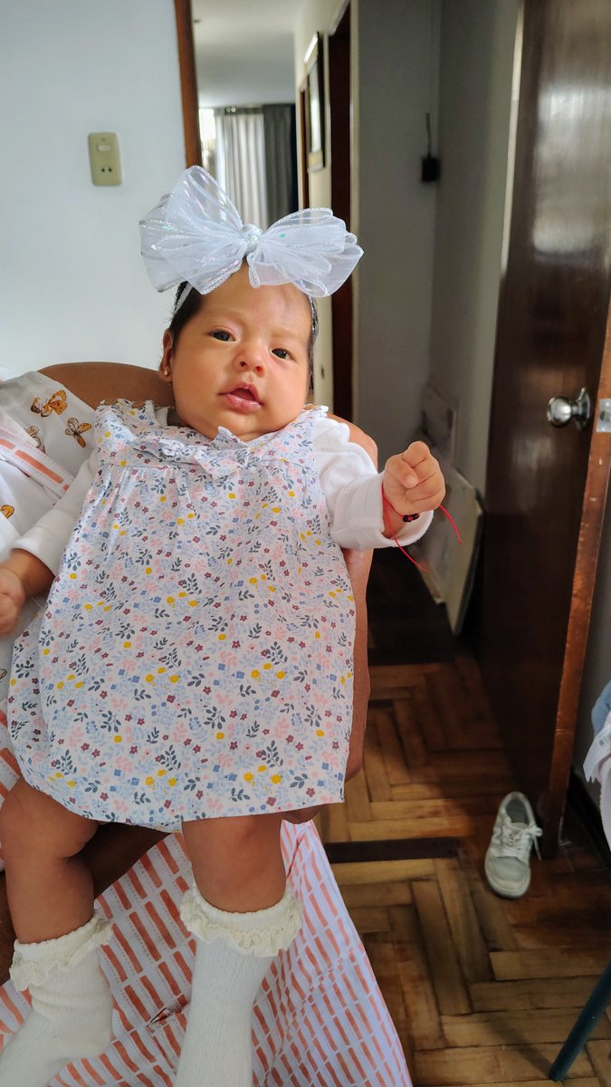 FlaviaCx's tweet photo. Mi gordita simoneta jajaja okino https://t.co/c4qs90O1gi