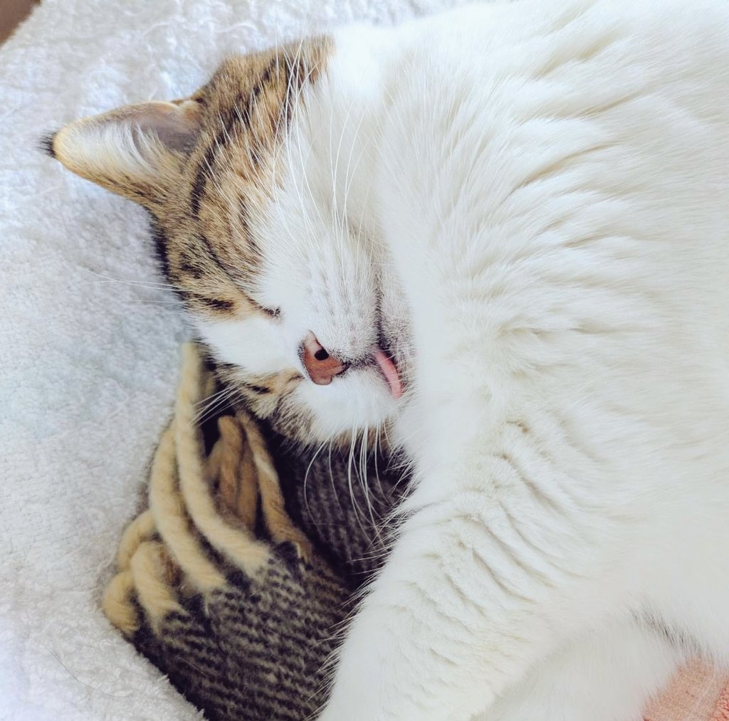 あなたとただしずかに暮らせたら
それだけでいいのに