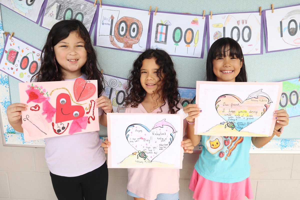 HMS Dolphins tweet media