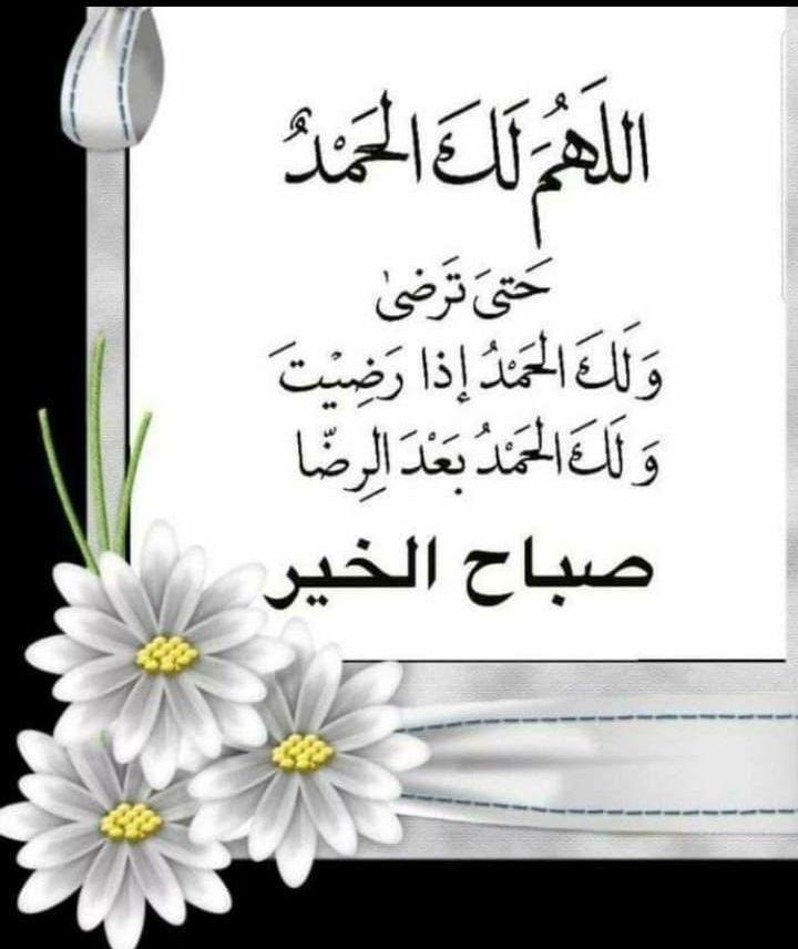 ناصر بن سالم آل عقيل (@nasser51741) on Twitter photo 