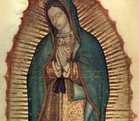 Nicky Zwan_ tweet media