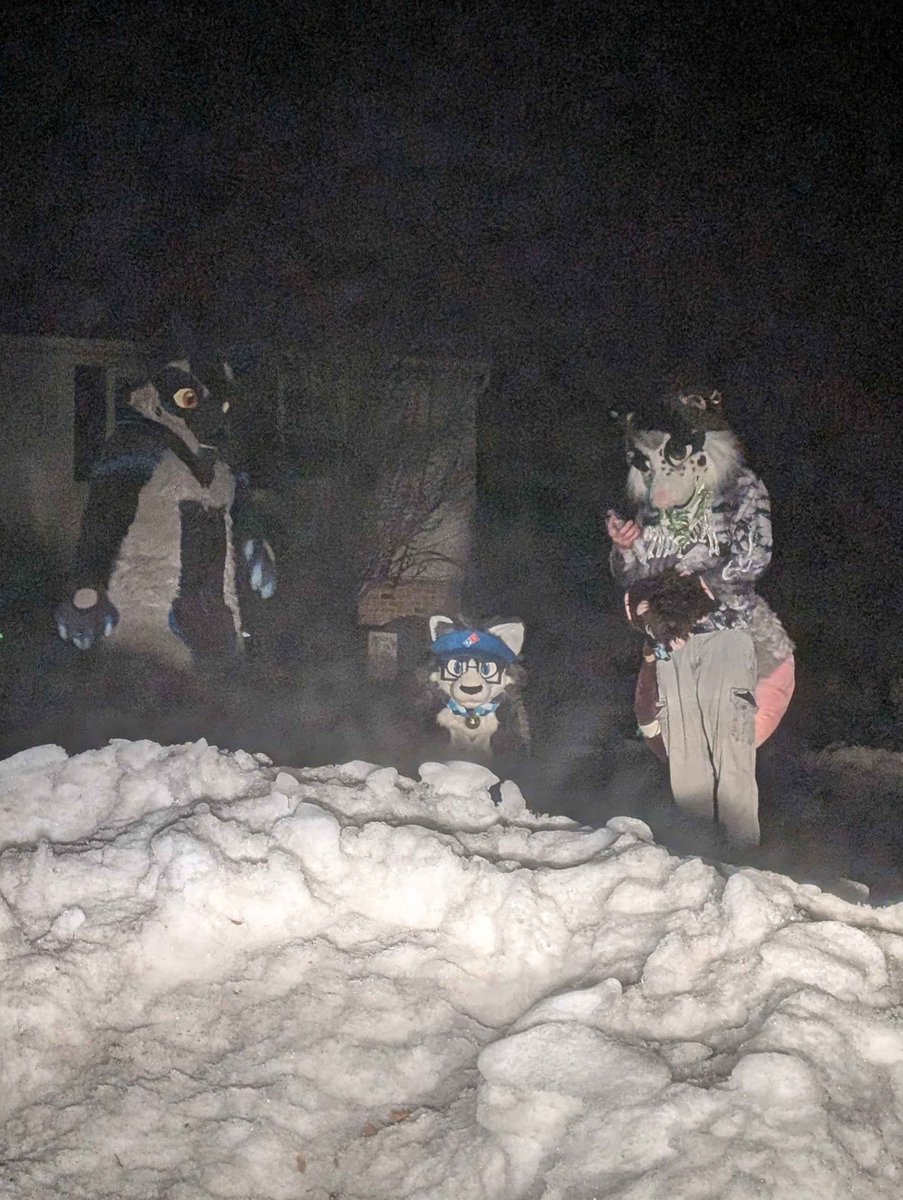 We are the animals outside your house at 3 am