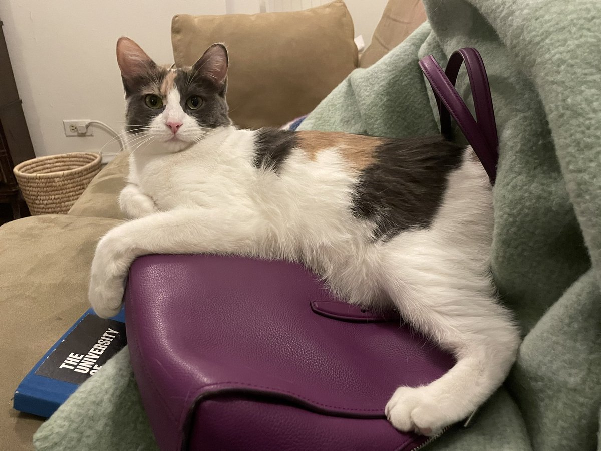 Laura Demanski tweet media