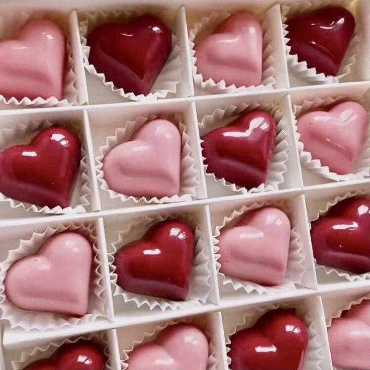 May this Valentine’s Day wrap your heart in a softness that feels like coming home. May you be loved in the quiet ways — in gentle glances, in steady hands, in the kind of presence that stays.

🍰♡ ༘*.ﾟ💕🌹

May your heart bloom without fear, and may every beat remind you that