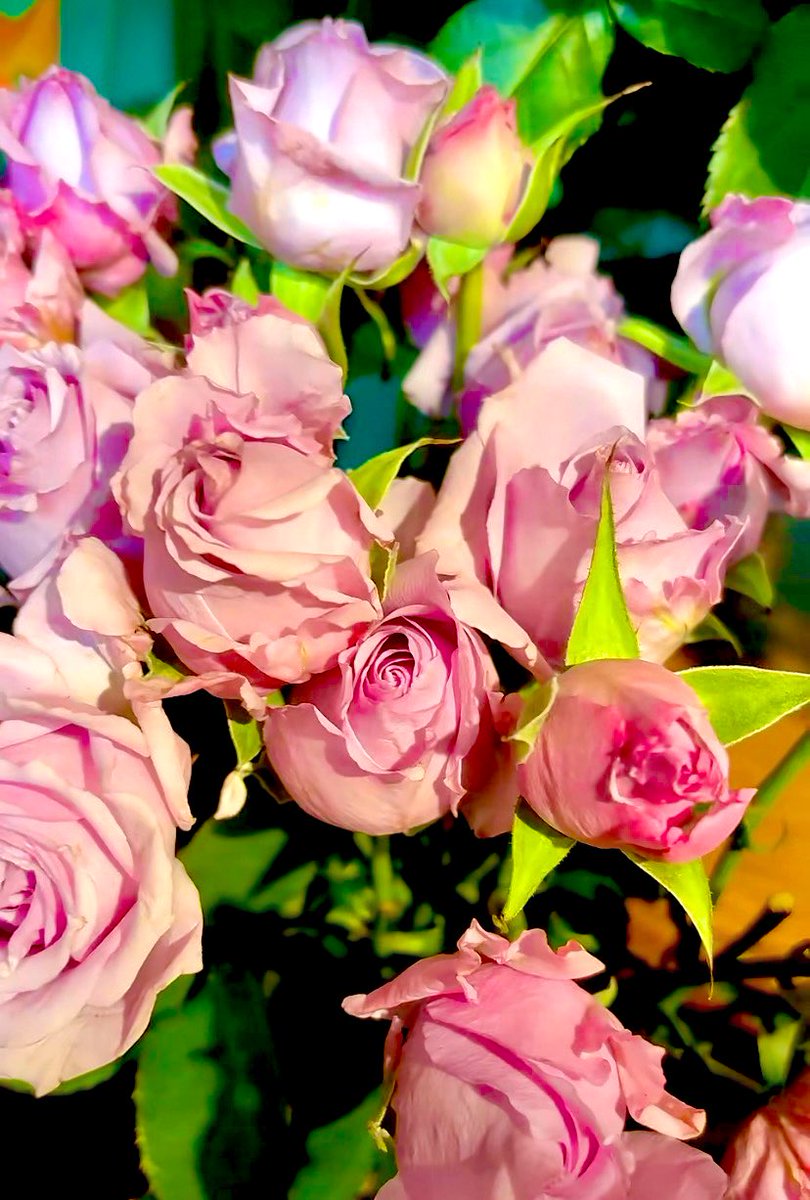 いいね してね。

💝Happy Valentine💝