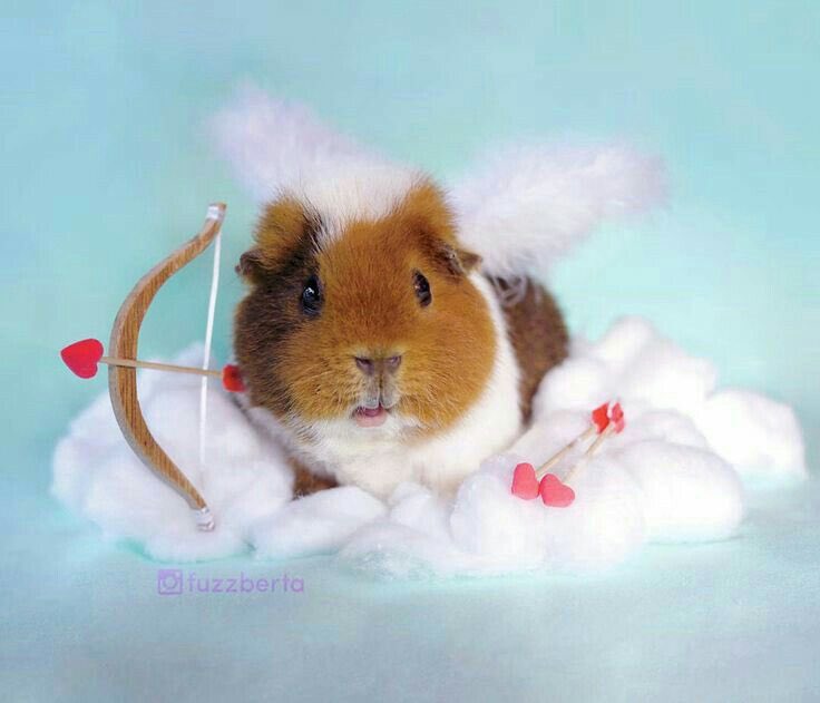 내가 맹글어 준거..❤️🐛