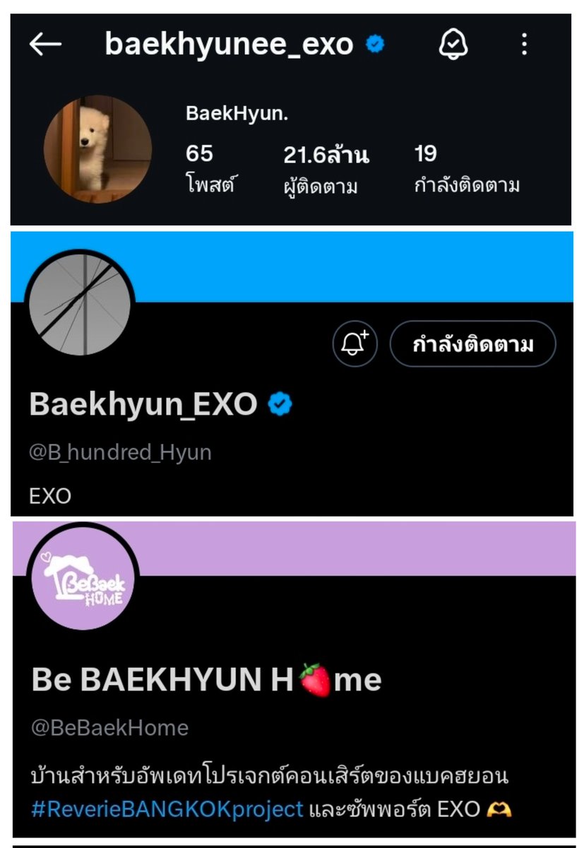 คำถามที่บีแบคโดนถามมาว่า 
"เป็นเมนแบคฮยอน แล้วมายุ่งกับเรื่อง EXO ทำไม?" 

คำตอบ 
"เพราะแบคฮยอนก็คือ BAEKHYUN EXO ค่ะ บีแบครัก EXO ทุกคน 
และที่สำคัญ นี่บ้านบีแบคค่ะ เขียนชัดเจนตั้งแต่แรก ย้อนไปดู Bio ได้เลยค่ะ"

สำหรับคนขี้เกียจบีแบคทำรูปมาให้ดูแล้วนะคะ 

LOVE YOU 506 💖✨️