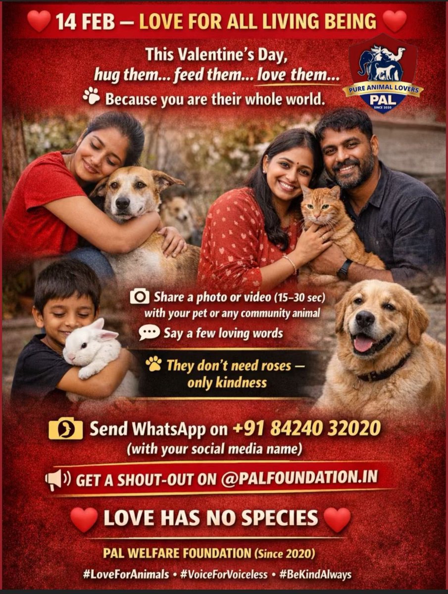 ❤️ 14 Feb - Love Has No Species. 
This Valentine’s, choose kindness and love.

📸 Post a 15–30 sec pic/video with a pet or community dog
📲 Send to +91 84240 32020 (with handle)
📢 Get featured <a href="/palfoundation/">Palmyra Foundation</a>.in

Because love belongs to every living being ❤️

#BeAPalForAnimals