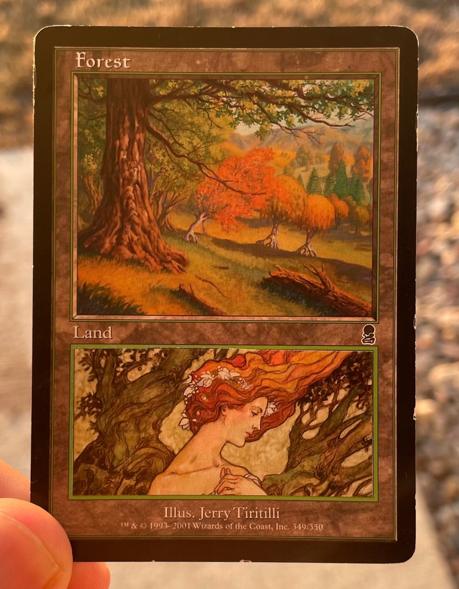 Lilypad, Druid of Yavimaya tweet media