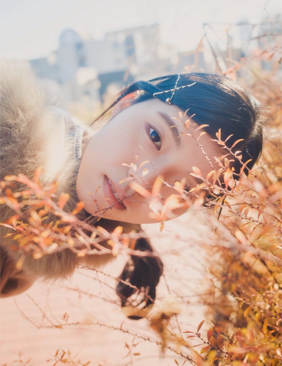 Fujiの色が落ち着く

#ツキノカホ作品 #X100vi