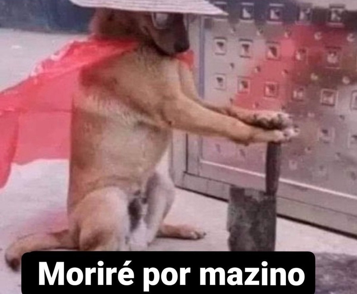 Javier 🇨🇱 tweet media