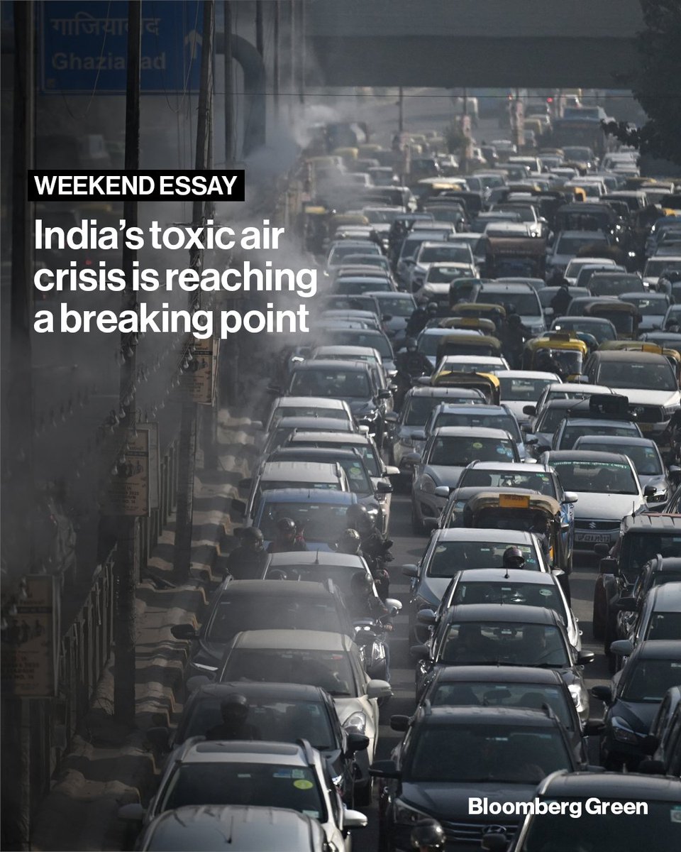 Bloomberg Green tweet media