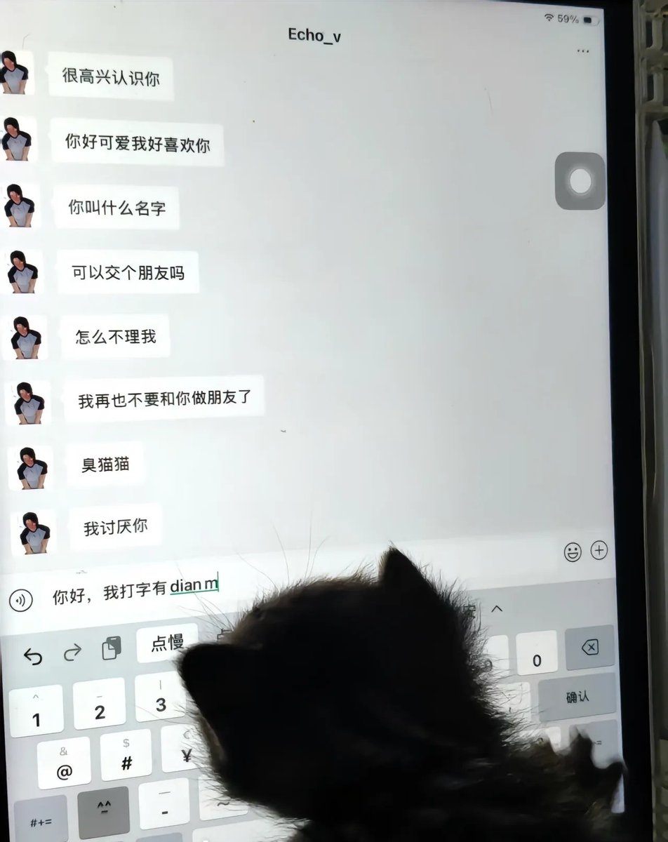 冬 tweet media