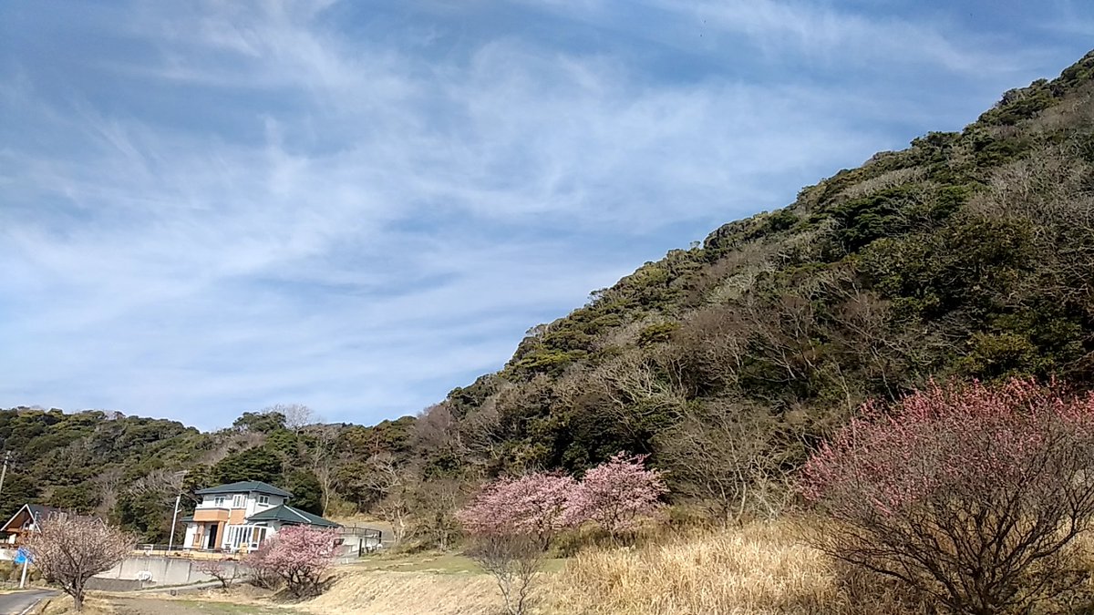 hanabata72's tweet photo. 🚃🚶☀ 保田駅 #駅ハイ #鋸南頼朝桜と春の里山をめぐる #千葉 https://t.co/pwRYUbWlV3