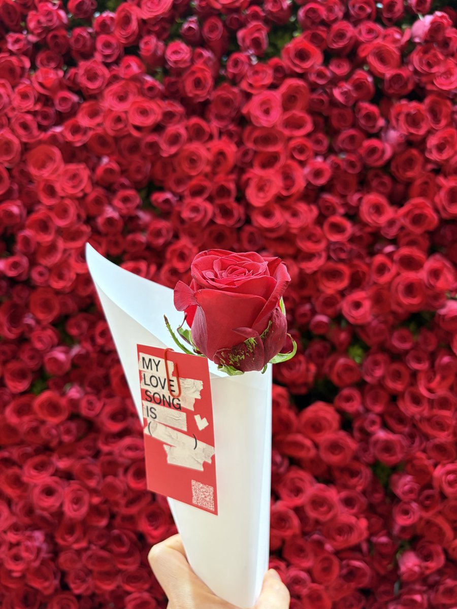 ilykv_'s tweet photo. 🌹💐🫶🏻🥹 https://t.co/q1I98cRkXc