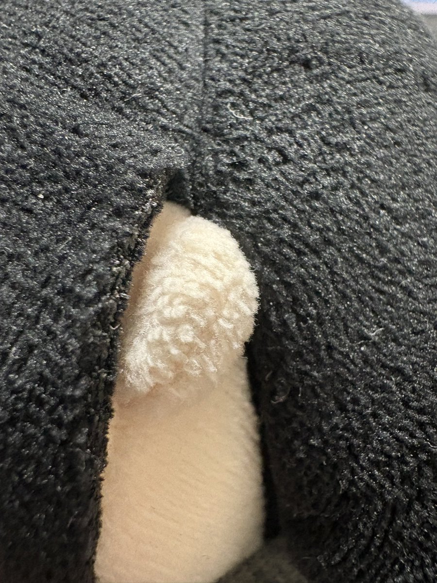 kurocatthunder's tweet photo. #osagechanFA

Cutest part of Osage plush https://t.co/XzXdMJixUv