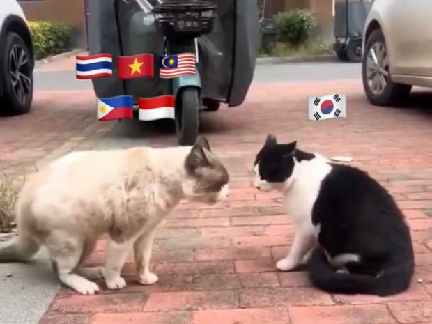TCillionaires's tweet photo. salah nyari lawan nih, senggol dikit bacok

#Knetz #netizen #indoviral #drakor #kpop https://t.co/GZa14bbwaV