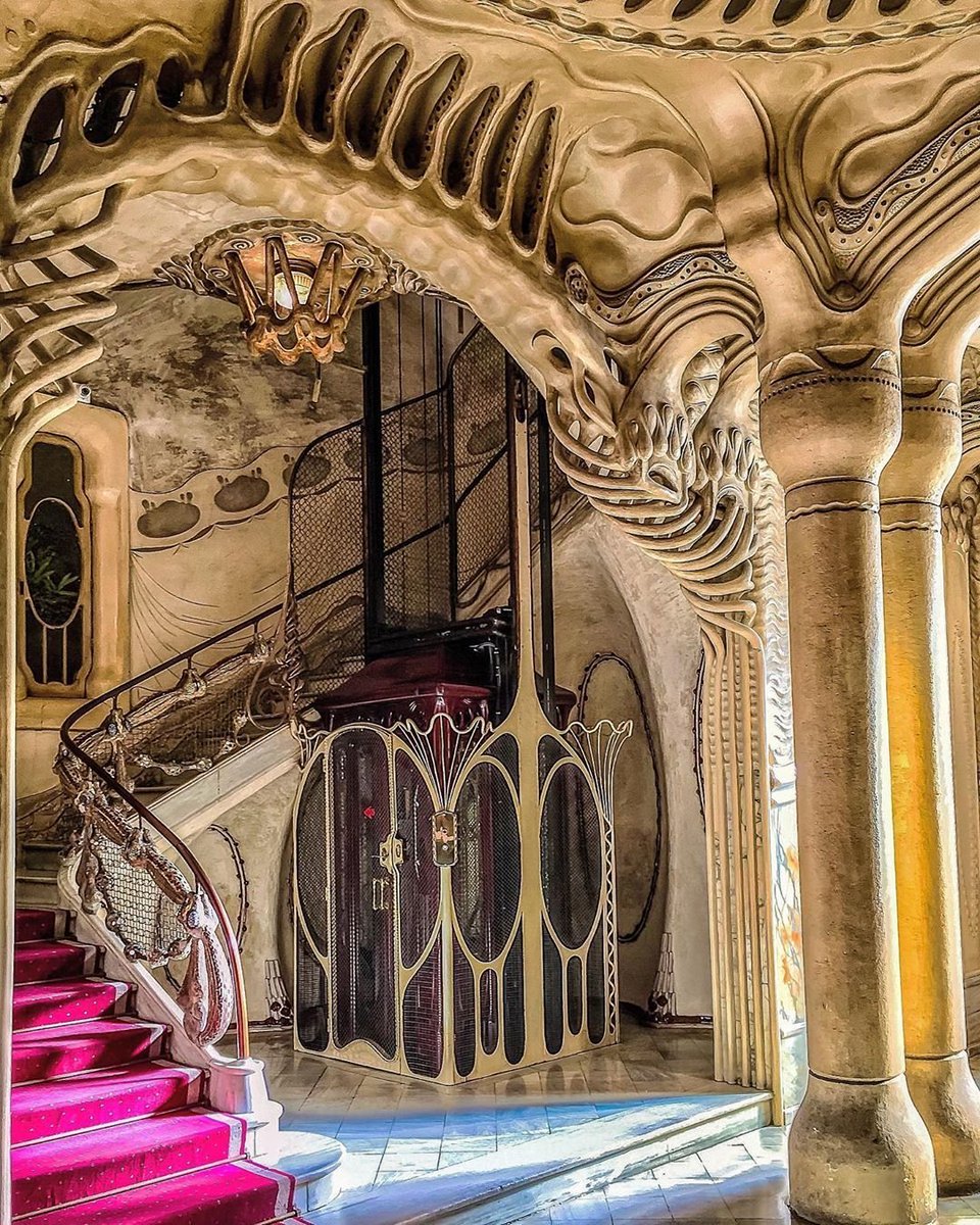 Nicia 🌍🚲🚋🚍🚇🌳 tweet media