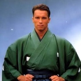 Subtitles of the anime broke and i kinda was able to understand it without them for some minutes