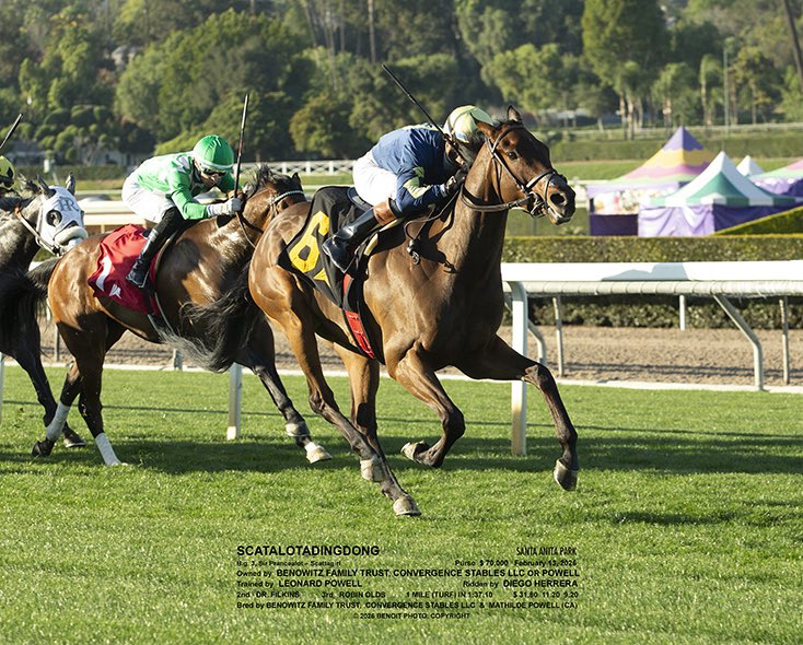 Leonard powell tweet media