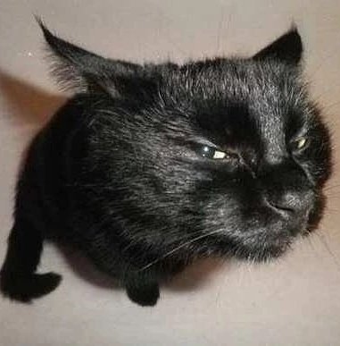 😭😭😭😭😭😭🤏🤏🤏🤏🤏🤏🤏