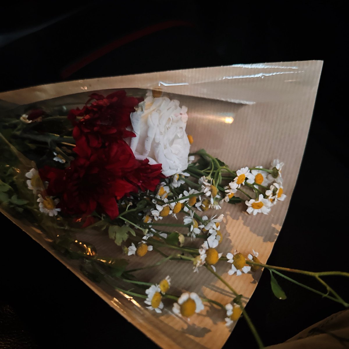 Happy Valentines! 💖✨