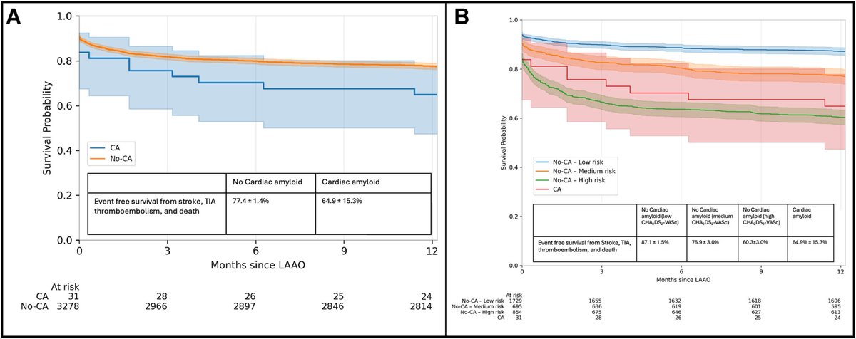 Divyanshu Mohananey tweet media