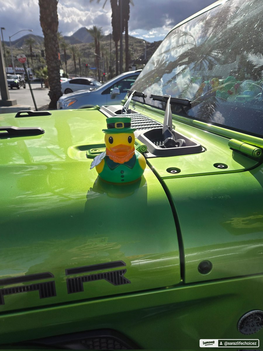 Sara Hutson tweet media